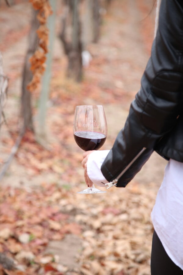 Bodega Kineta - Imagen 3
